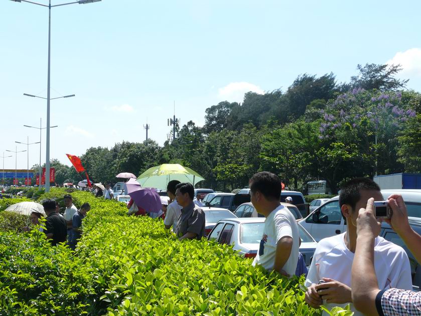 大家感受了祥云火炬传送的喜悦了吗（深圳站）