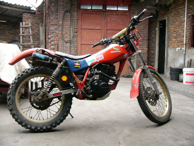 福建龙岩3800出本田爬鸡.........TSR.......本田猴...