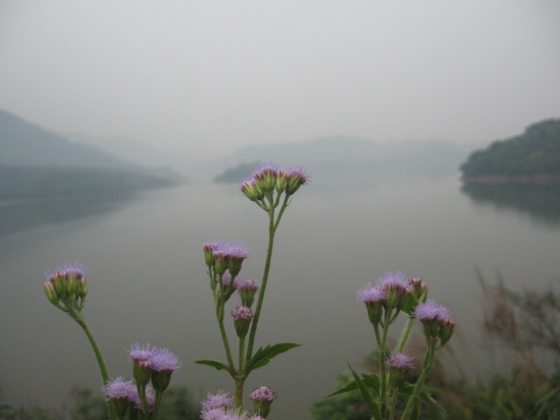 呼吸新鲜空气之2小时游