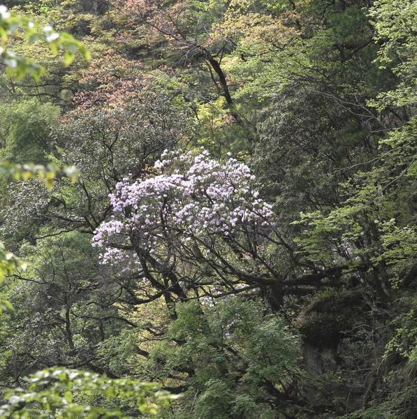 [原创]征途机车盟九寨沟黄龙活动PP