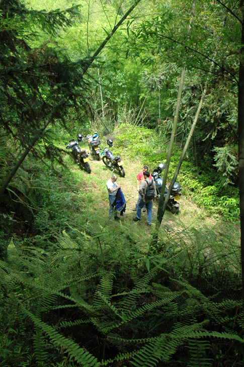 5月南昆山