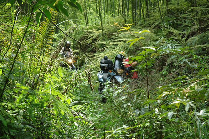 5月南昆山