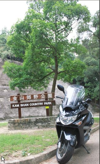 逍遥游.大尾督.鹿颈.马骝山.山项.