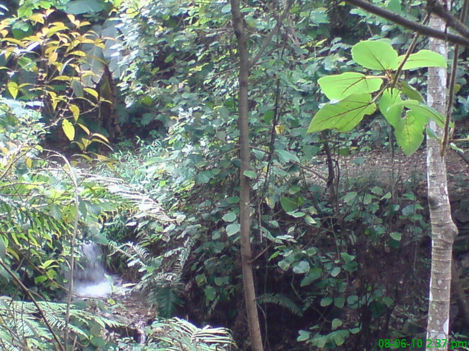 桃园山水