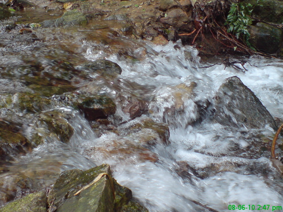 桃园山水