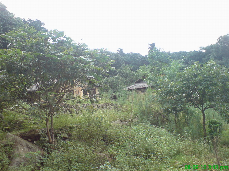 桃园山水