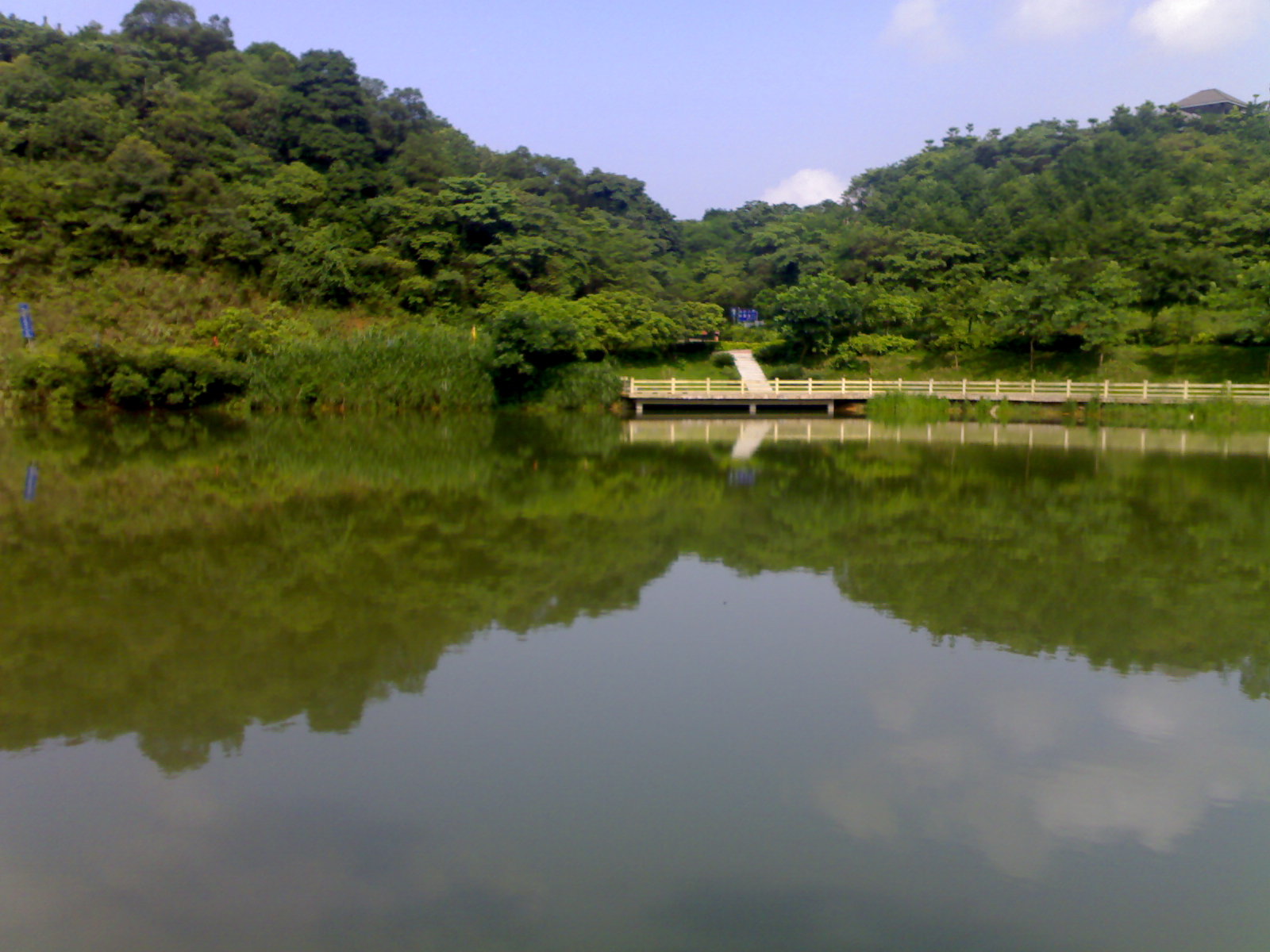 帽峰天湖雾中美景