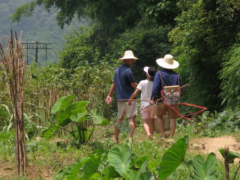 [原创]夏至日的清凉