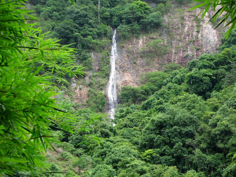 [原创]从化山区的魅力---黄龙带寻梅之旅