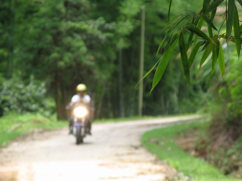 [原创]从化山区的魅力---黄龙带寻梅之旅