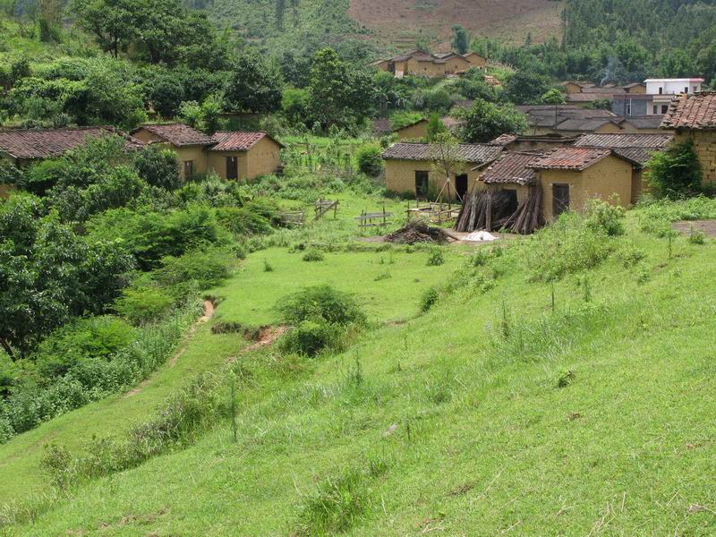[原创]从化山区的魅力---黄龙带寻梅之旅
