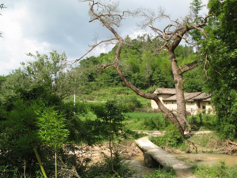 [原创]从化山区的魅力---黄龙带寻梅之旅