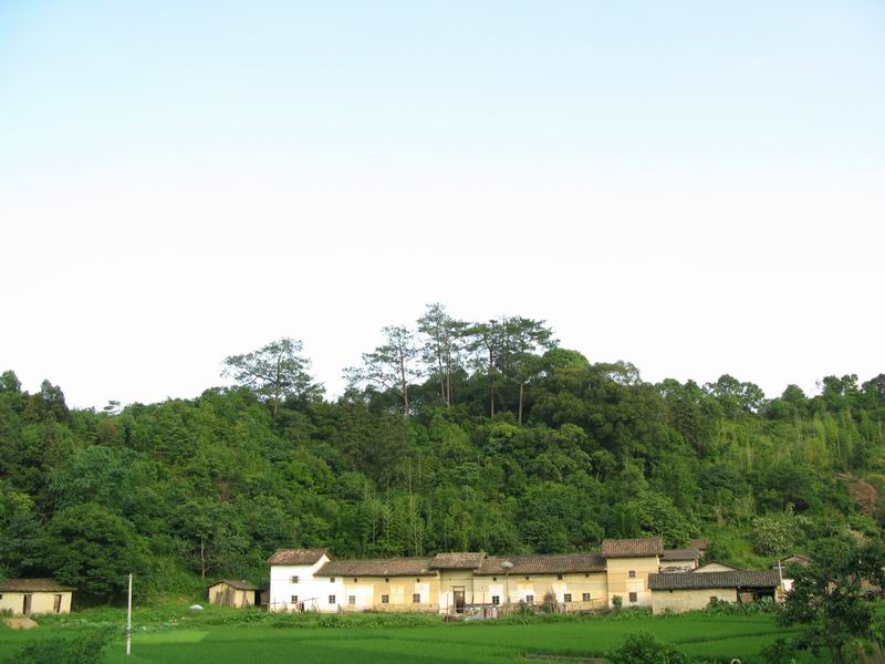 [原创]从化山区的魅力---黄龙带寻梅之旅