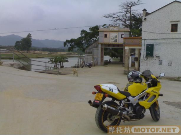 广东台山23333出售99VTR1000F