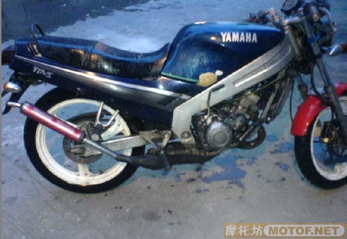 南海大沥帮朋友卖部T仔   1650元`