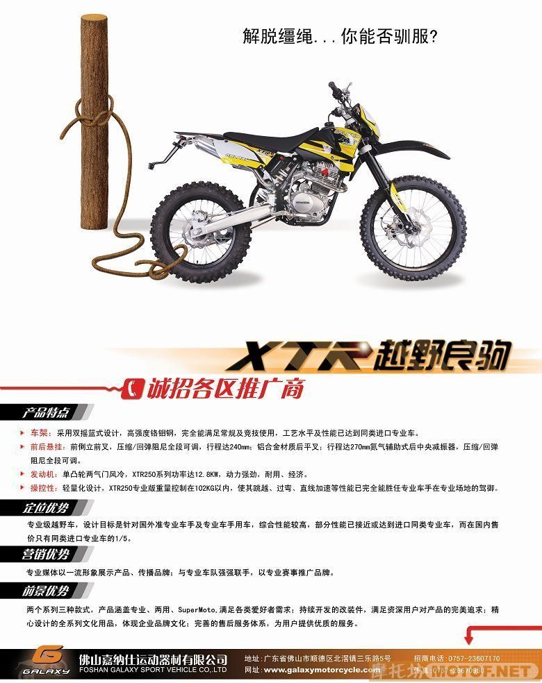 解脱缰绳,你能否驯服?