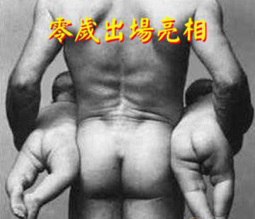 人的一生