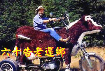 人的一生