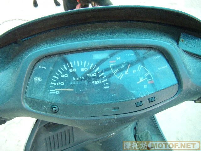 代友出本田250水冷鲨皇