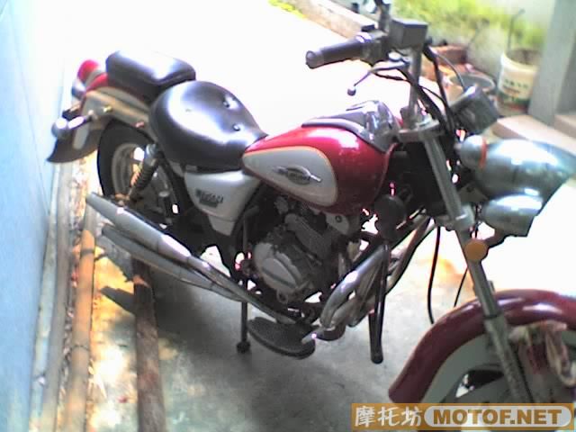 江门地区代友出售型男太子一台..价格2000(可小刀)..已降价200