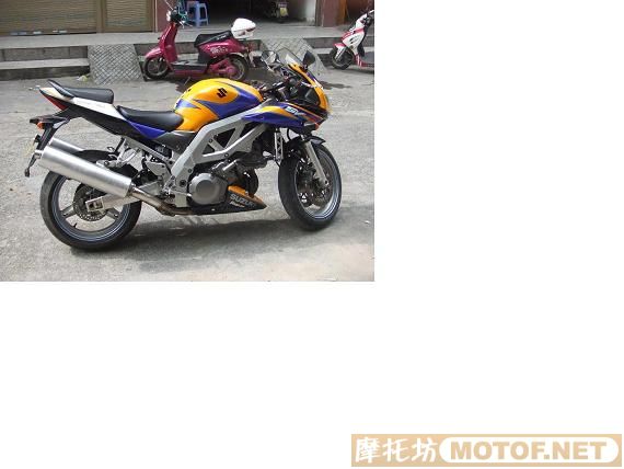 出售04年铃木SV1000S