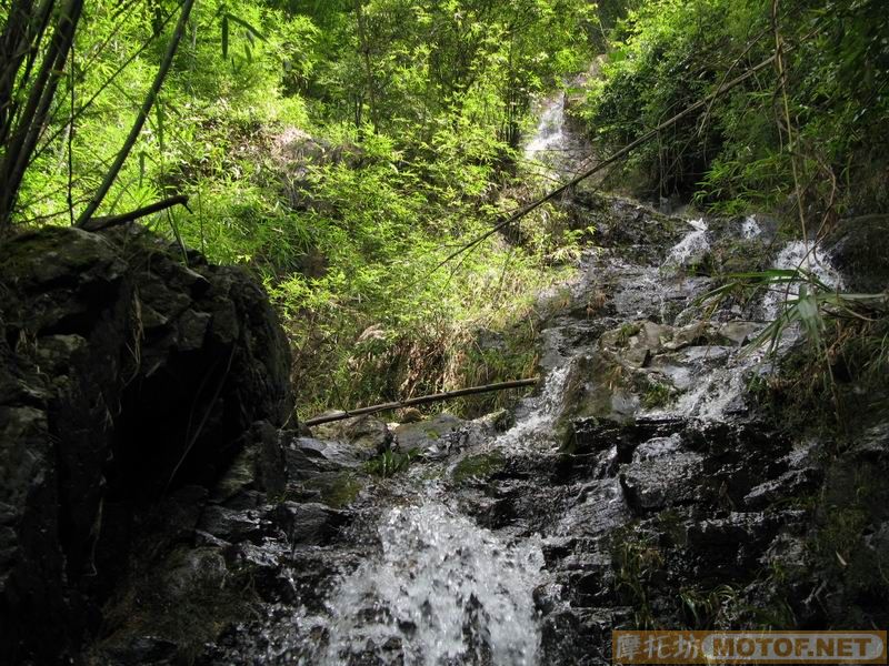 [原创]青蛙妹妹与王子们的故事