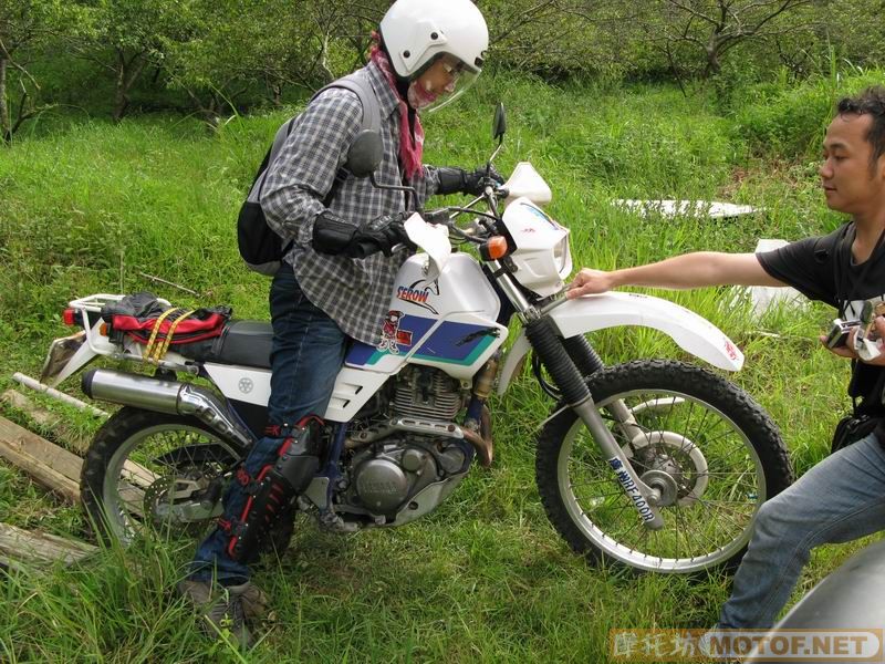 [原创]青蛙妹妹与王子们的故事