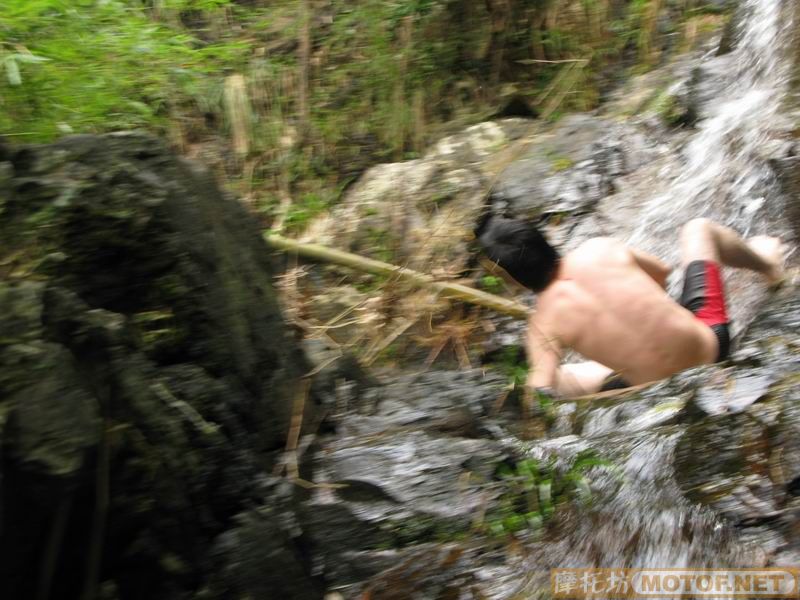 [原创]青蛙妹妹与王子们的故事