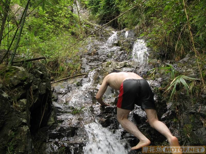 [原创]青蛙妹妹与王子们的故事