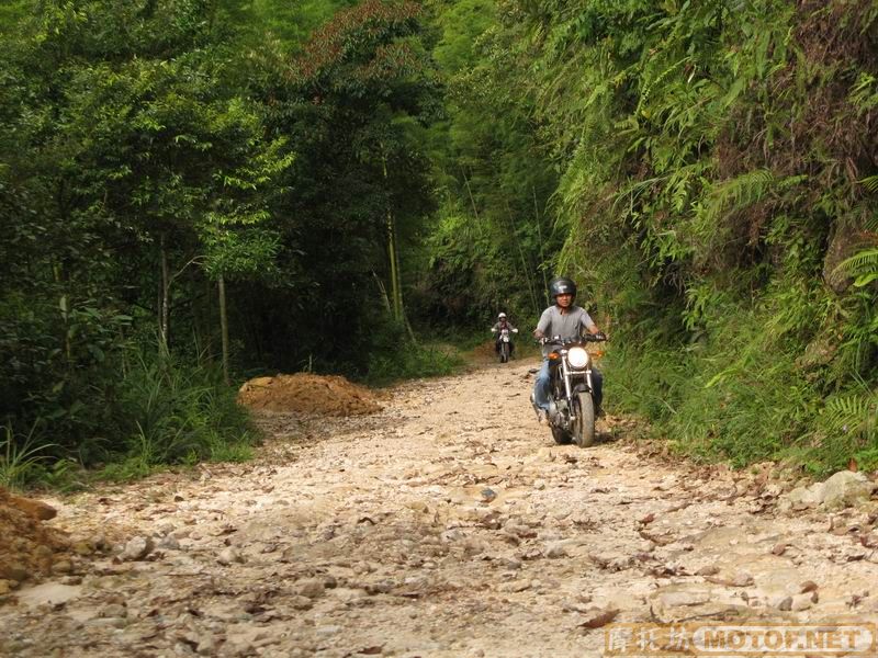 [原创]青蛙妹妹与王子们的故事