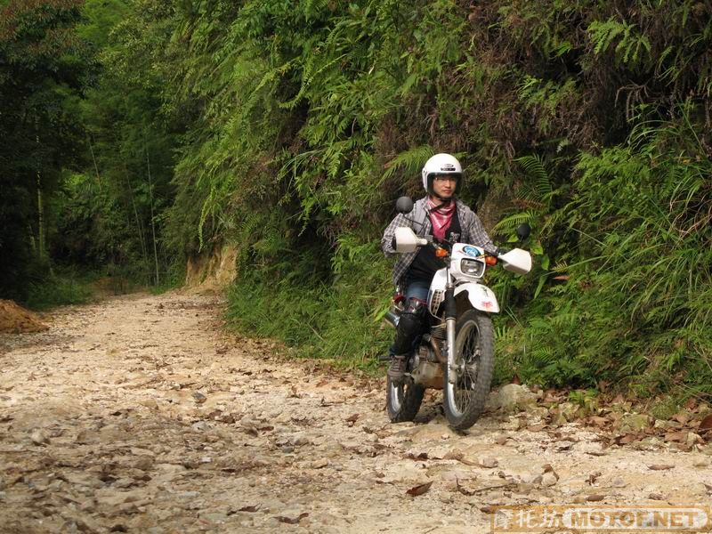 [原创]青蛙妹妹与王子们的故事