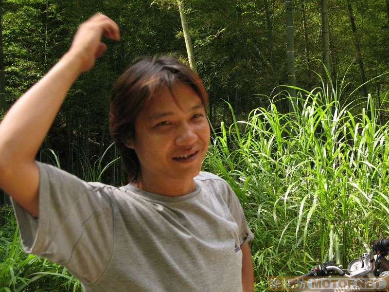 [原创]青蛙妹妹与王子们的故事