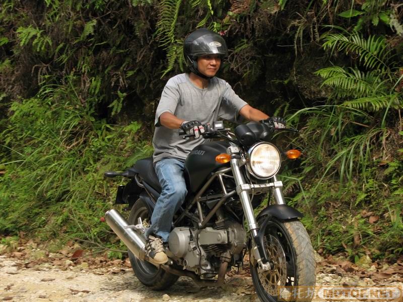 [原创]青蛙妹妹与王子们的故事