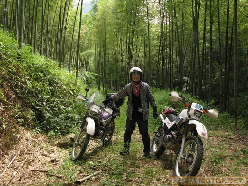 [原创]青蛙妹妹与王子们的故事