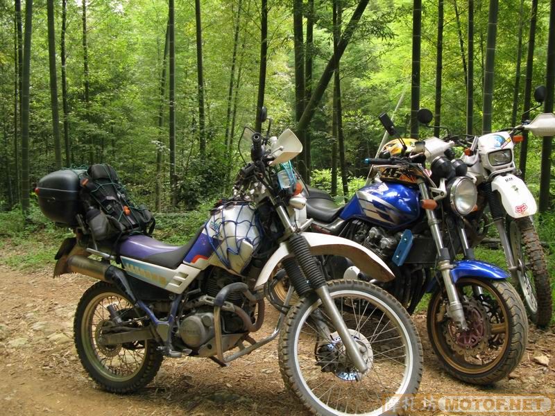 [原创]青蛙妹妹与王子们的故事