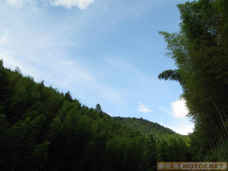 [原创]青蛙妹妹与王子们的故事