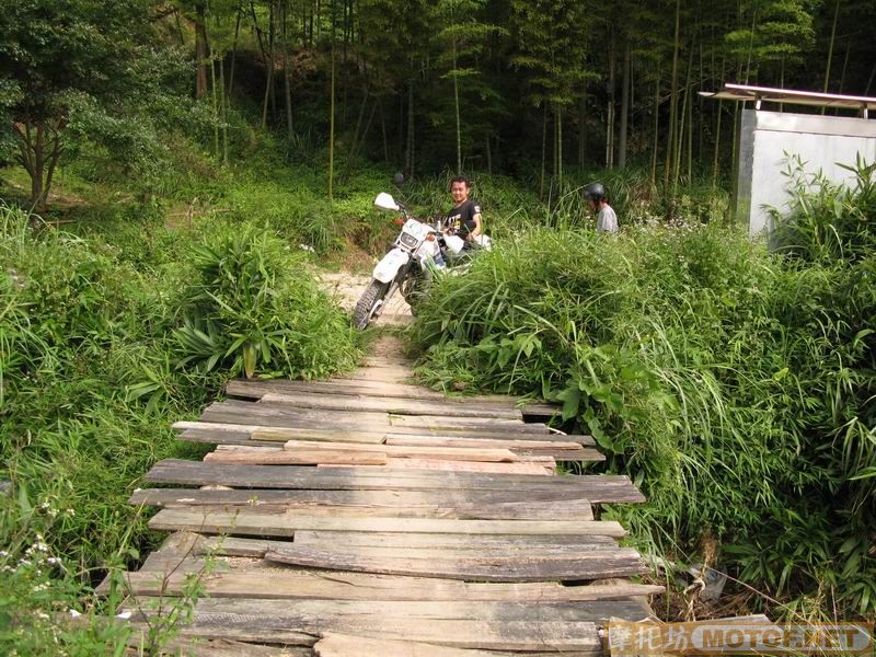 [原创]青蛙妹妹与王子们的故事