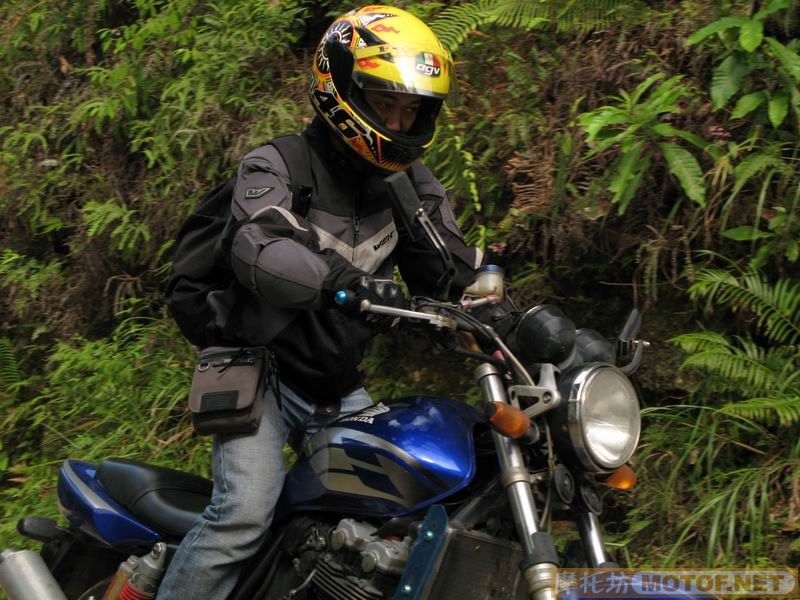 [原创]青蛙妹妹与王子们的故事