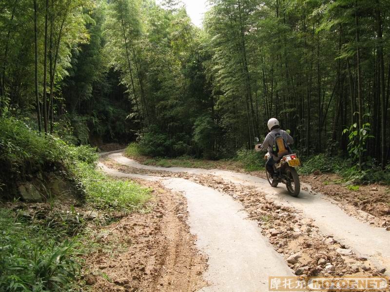 [原创]青蛙妹妹与王子们的故事