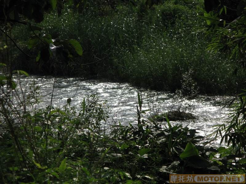 [原创]青蛙妹妹与王子们的故事