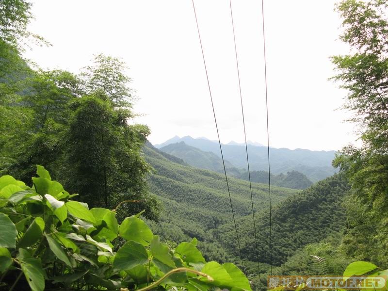 [原创]青蛙妹妹与王子们的故事