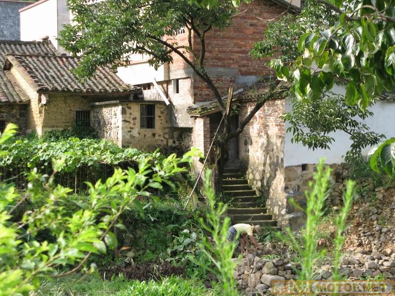 [原创]青蛙妹妹与王子们的故事