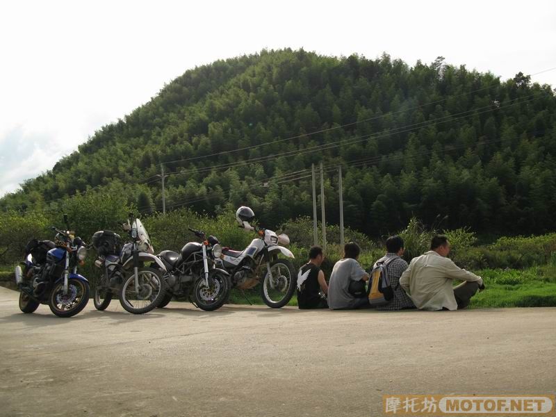 [原创]青蛙妹妹与王子们的故事