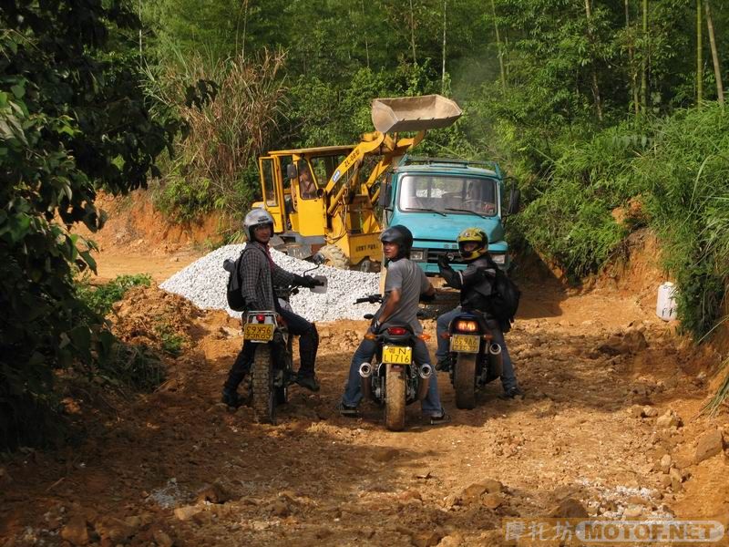 [原创]青蛙妹妹与王子们的故事