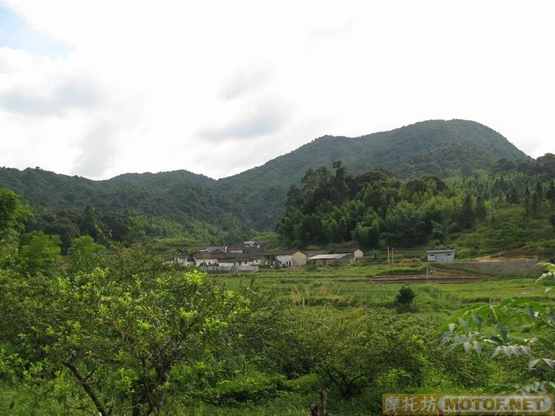 [原创]青蛙妹妹与王子们的故事