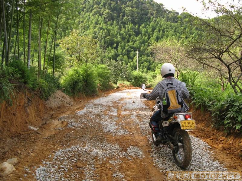 [原创]青蛙妹妹与王子们的故事