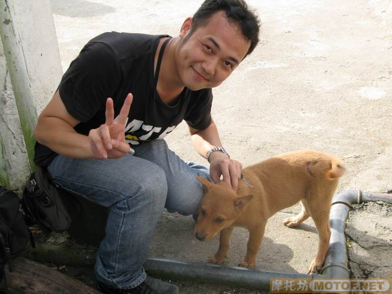 [原创]青蛙妹妹与王子们的故事