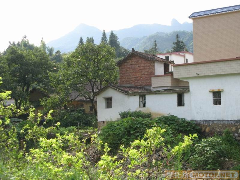 [原创]青蛙妹妹与王子们的故事