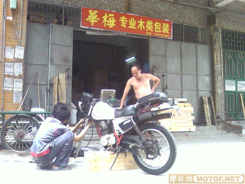 广东梅州1500元转让白菜一台