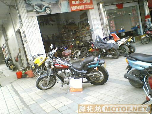 有今天我拍的相片！澄清一下:{版主和车友注意："供车仔''发的帖(卖本田太子息灯400)，是